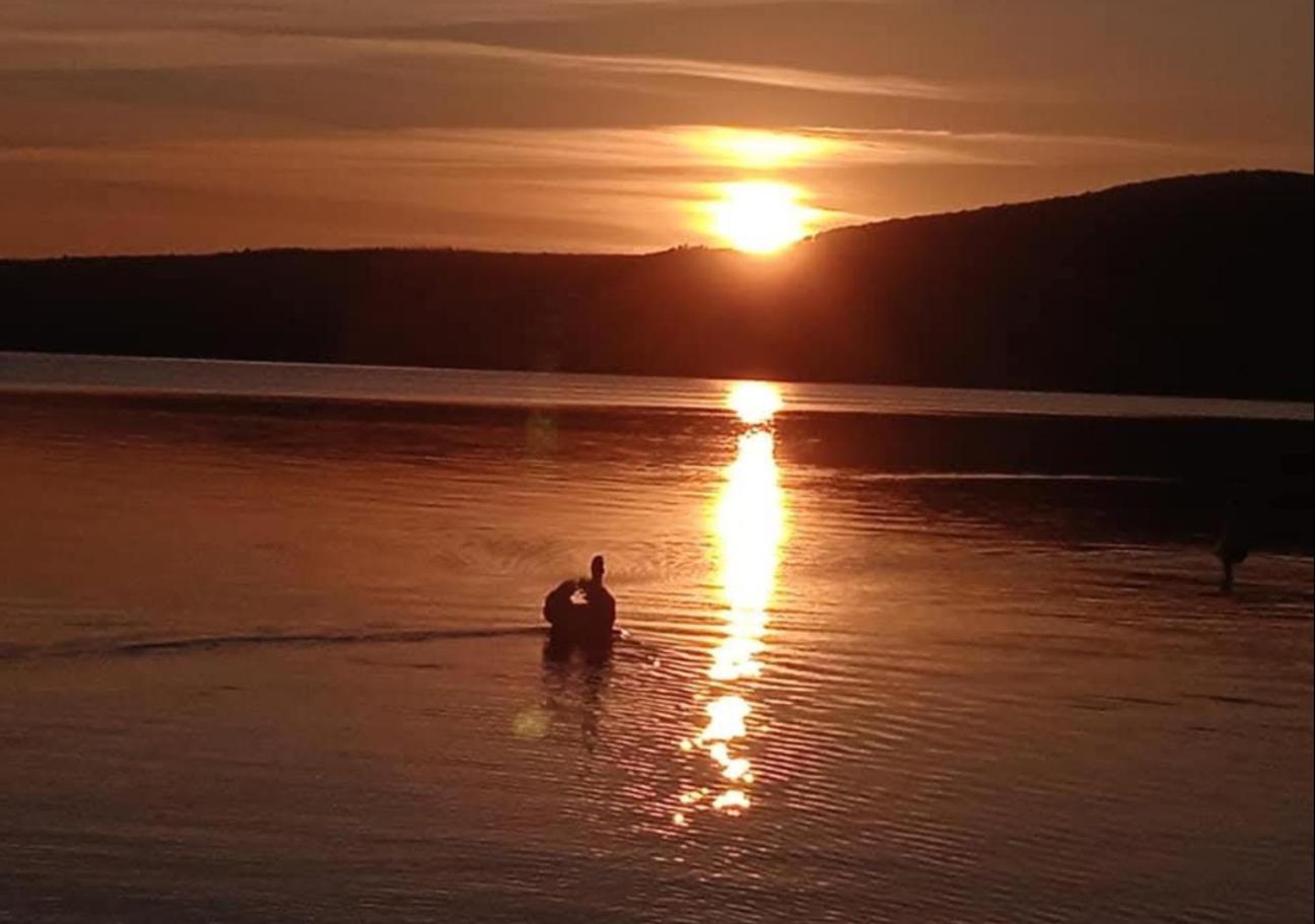 Dolce Lago Trevignano Romano Buitenkant foto